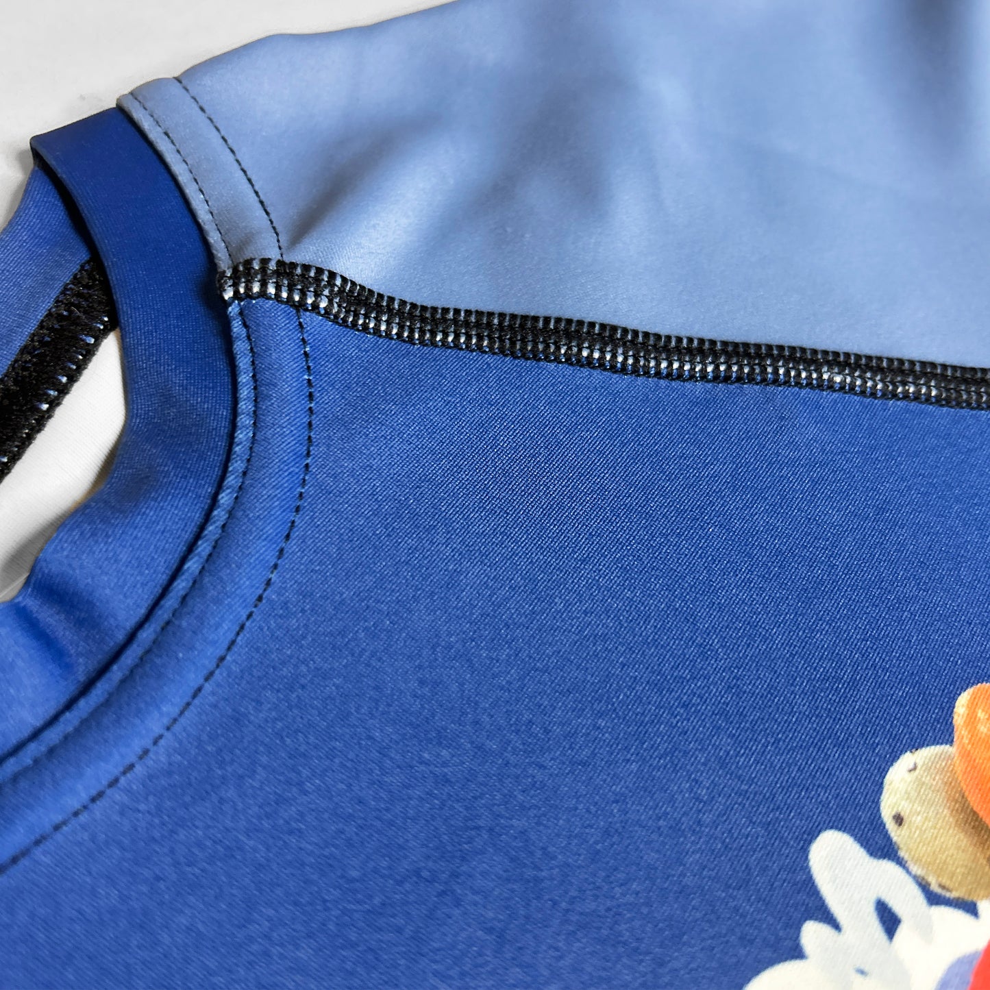 Kangaroo Beach Rash Guard - Blue