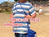 Kangaroo Beach Pounce  Zoogs Gift Pack